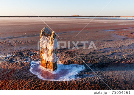 Tranquil minimalist landscape with smooth surface of the pink salt lake 75054561