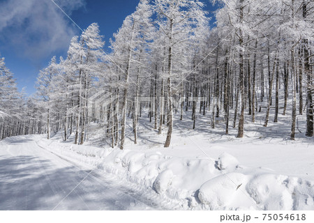 高原の雪景色 高原の雪景色 75054618