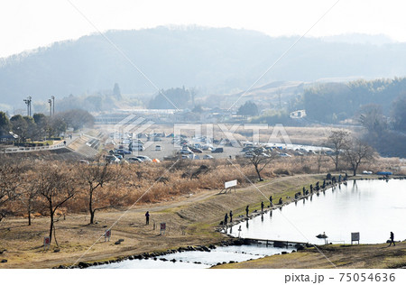 車で郊外の河原に行き、コロナを避けてキャンプを楽しむ人達 車で郊外の河原に行き、コロナを避けてキャンプを楽しむ人達 75054636