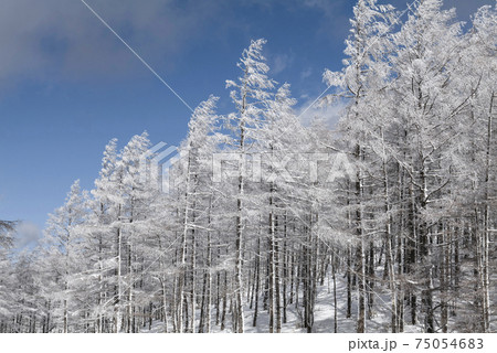 高原の雪景色 75054683