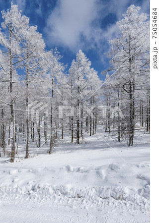 高原の雪景色 75054684