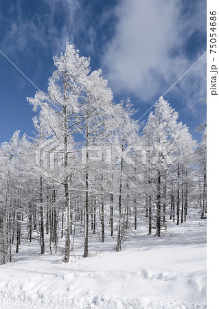 高原の雪景色 75054686