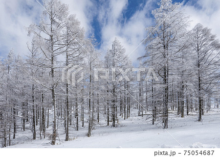 高原の雪景色 75054687