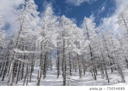 高原の雪景色 75054689