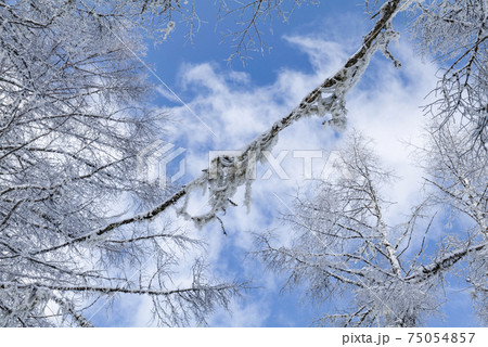 高原の雪景色 75054857