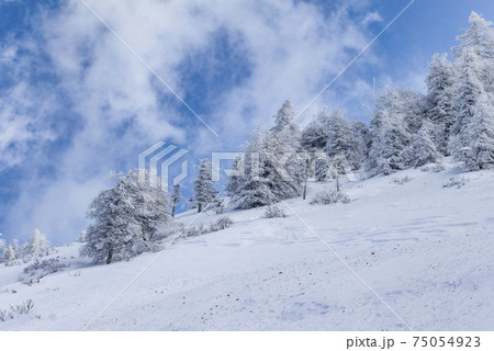 高原の雪景色 75054923