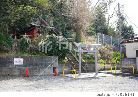 駒岡八幡神社 駒岡八幡神社 75056141