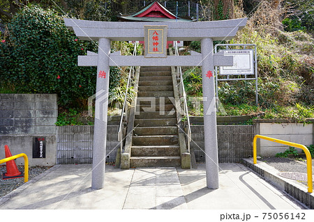 駒岡八幡神社 鳥居 駒岡八幡神社 鳥居 75056142