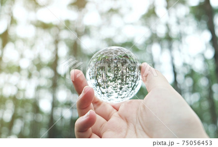 Save world. Earth day. Energy saving concept. Crystal glass ball in Nature Pine Park Save world. Earth day. Energy saving concept. Crystal glass ball in Nature Pine Park 75056453