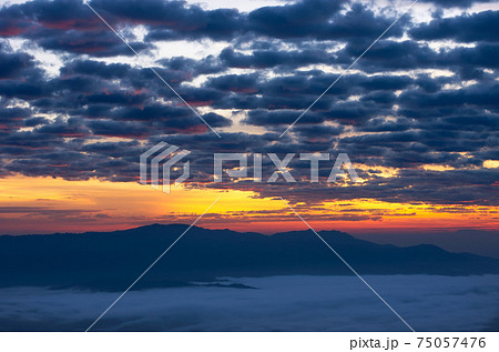Beautiful fog over green forest on mountain. Beautiful fog over green forest on mountain. 75057476