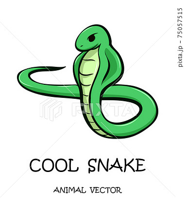 Vector illustration cartoon on a white background of a snake cartoon. Vector illustration cartoon on a white background of a snake cartoon. 75057515