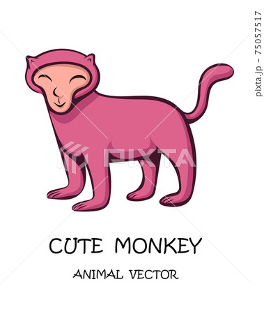 Vector illustration cartoon on a white background of a cute monkey. 75057517