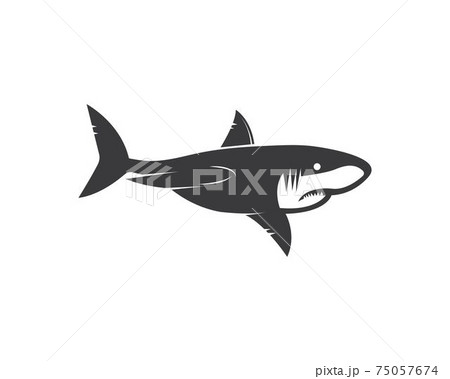 shark icon vector illustration design 75057674