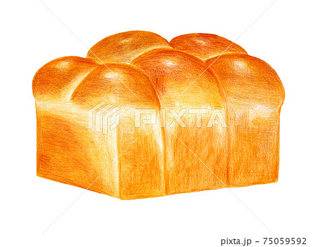 ブリオッシュ食パンの色鉛筆画 75059592
