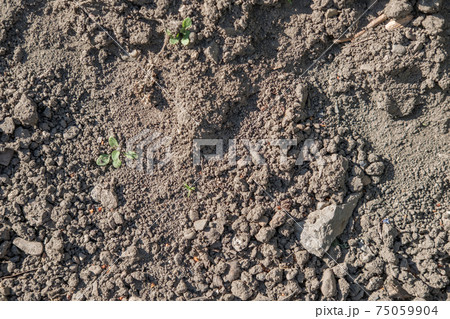 soil plain texture for background soil plain texture for background 75059904