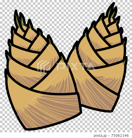 たけのこ 二本 白バック カットイラスト素材 たけのこ 二本 白バック カットイラスト素材 75062146