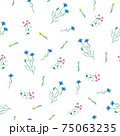 Wild flower sweet pea and knapweed seamless pattern 75063235