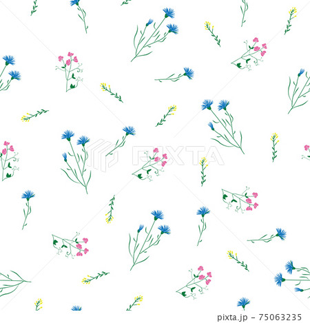 Wild flower sweet pea and knapweed seamless pattern 75063235