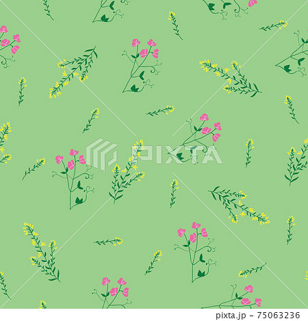 Wild flower sweet pea and gorse seamless pattern 75063236
