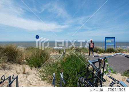 empty sandy beach. kite surfers on the water of North Sea, Zandvoort, Netherlands 75064503