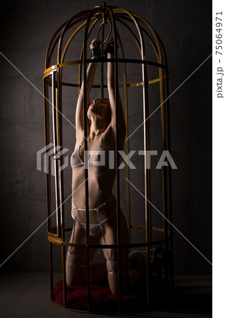 Seductive young woman in white bdsm transparent lingerie in cage with hand cuff Seductive young woman in white bdsm transparent lingerie in cage with hand cuff 75064971
