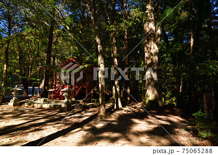 熊野古道より 75065288