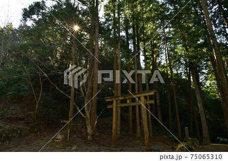 熊野古道より 75065310