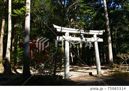 熊野古道より 熊野古道より 75065314