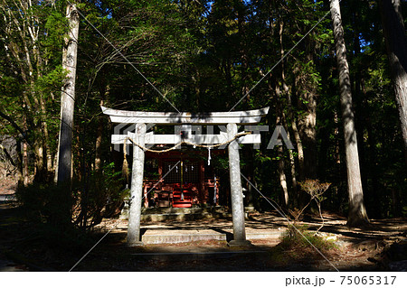 熊野古道より 75065317