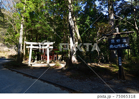 熊野古道より 75065318