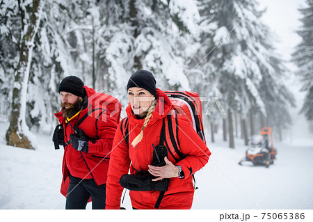 Paramedics from mountain rescue service walking outdoors in winter in forest. 75065386