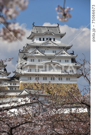 日本の兵庫県の姫路市　世界遺産で国宝でもある姫路城　春の桜と立派な天守閣 75066673