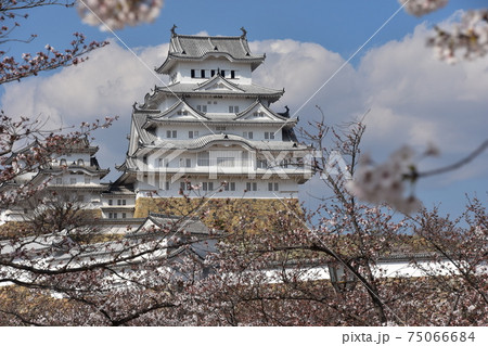日本の兵庫県の姫路市　世界遺産で国宝でもある姫路城　春の桜と立派な天守閣 75066684