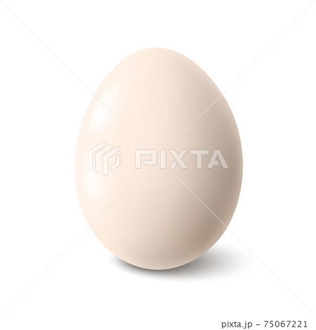 Big realistic white chicken egg with shadow on white background - Vector 75067221