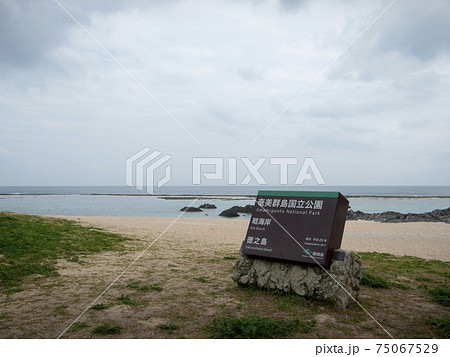 徳之島　畦海岸 75067529