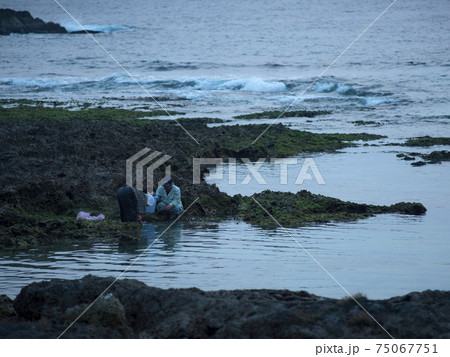 徳之島 千間海岸で漬物を仕込む人 徳之島 千間海岸で漬物を仕込む人 75067751