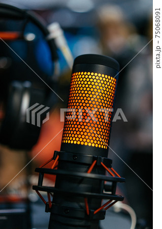 Professional studio condenser microphone attached to shock mount Professional studio condenser microphone attached to shock mount 75068091