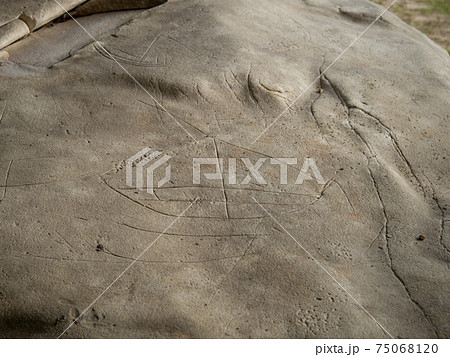 徳之島 戸森の線刻画 徳之島 戸森の線刻画 75068120