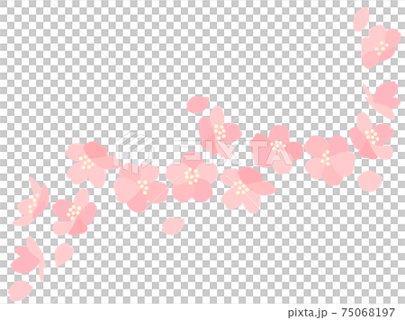 桜115　さくら　花	 75068197