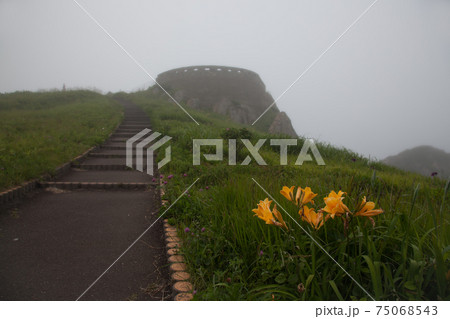 朝霧の種差海岸（三陸復興国立公園） 75068543