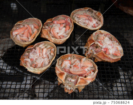 新潟県 佐渡島 焼き蟹 新潟県 佐渡島 焼き蟹 75068624