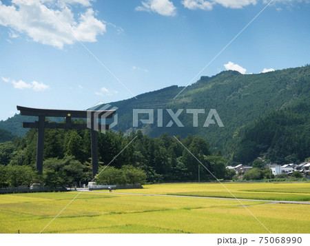 和歌山県 田辺市 熊野本宮大社 旧社地大斎原の大鳥居 和歌山県 田辺市 熊野本宮大社 旧社地大斎原の大鳥居 75068990