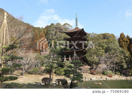 山口瑠璃光寺の梅 75069180