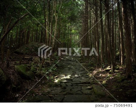 三重県 熊野古道 馬越峠 石畳 三重県 熊野古道 馬越峠 石畳 75069491