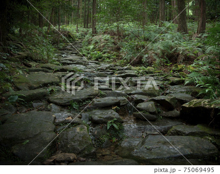 三重県 熊野古道 馬越峠 石畳 三重県 熊野古道 馬越峠 石畳 75069495