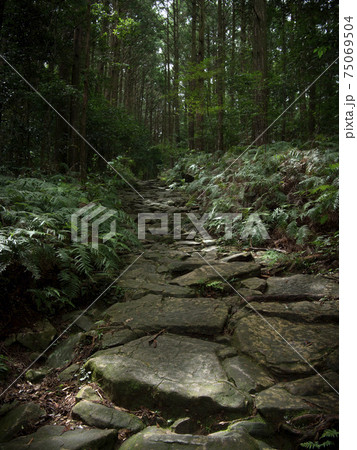 三重県 熊野古道 馬越峠 石畳 三重県 熊野古道 馬越峠 石畳 75069504