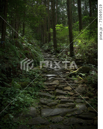 三重県 熊野古道 馬越峠 石畳 三重県 熊野古道 馬越峠 石畳 75069519