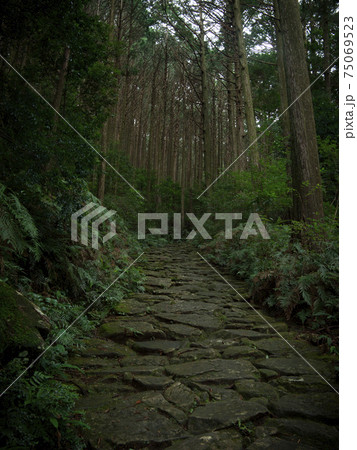 三重県 熊野古道 馬越峠 石畳 三重県 熊野古道 馬越峠 石畳 75069523