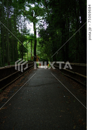 京都嵯峨野・竹林の小径 75069684