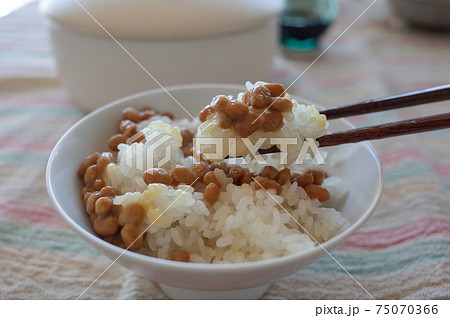 納豆ごはん 75070366